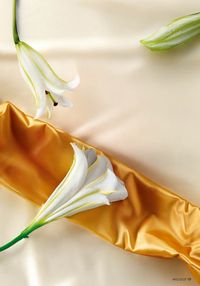 Faberlik kataloqu 13 2026 gürcü dilində səhifə 19