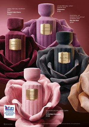 Faberlik kataloqu 4 2026 gürcü dilində səhifə 12